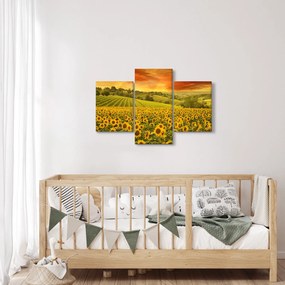 Obraz - Slnečnicové pole (90x60 cm)