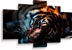 Obraz ležiaceho tigra (150x105 cm)