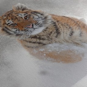 Obraz bežiaceho tigra v snehu (70x50 cm)