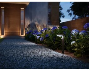 Philips - LED Solárna lampa so senzorom TYLA LED/1,2W/4V 4000K IP44