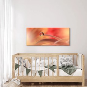 Obraz kvetinové kvapky rosy (120x50 cm)