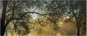 Obraz východu slnka (120x50 cm)