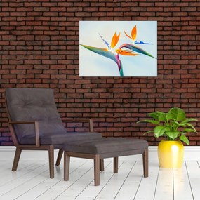Sklenený obraz kvetu Strelícia (70x50 cm)