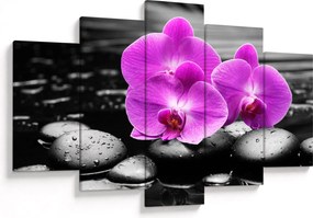 Obraz - Fialové orchidey (150x105 cm)