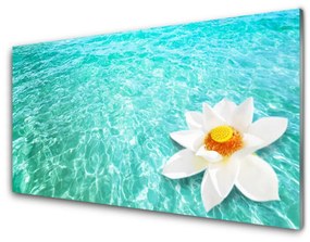 Skleneny obraz Voda kvet umenie 120x60 cm