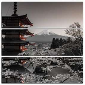 Obraz na plátne - Pohľad na horu Fuji - štvorec 361FD (75x75 cm)
