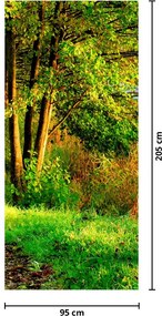 Fototapeta na dvere - Chodník pozdĺž vody (95x205cm)