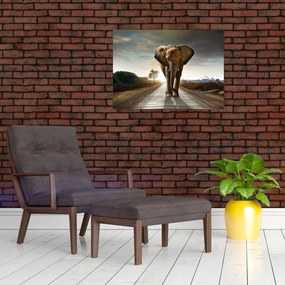 Sklenený obraz slona (70x50 cm)