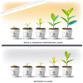 LED Podlinkové svietidlo na pestovanie rastlín GROWLY LED/15W/230W
