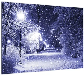 Sklenený obraz - Čarovná zimná noc (70x50 cm)