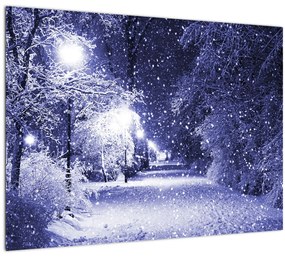 Sklenený obraz - Čarovná zimná noc (70x50 cm)