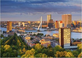 Sklenený obraz - Panorama Rotterdamu, Holandsko (70x50 cm)