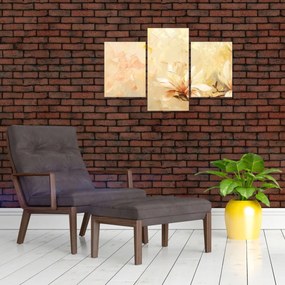 Obraz - Kvety (90x60 cm)