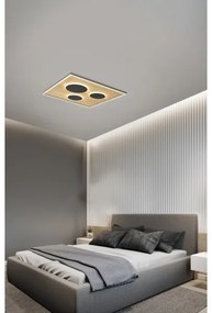 Wofi 9012-306L - LED Stmievateľné stropné svietidlo DIJON LED/40W/230V