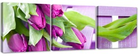 Obraz na plátně třídílný Růžové tulipány Květiny - 120x40 cm