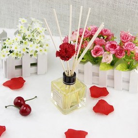 Aroma difuzér Elegant 100ml AP: Zelený bambus