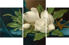 Obraz - Martin Johnson Heade, Giant Magnolias on a Blue Velvet Cloth, reprodukcia (90x60 cm)