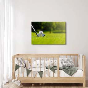 Obraz - Golf (90x60 cm)