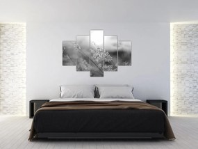 Obraz - Jesenná lúka (150x105 cm)