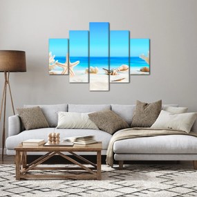 Obraz - Zátišie s mušľami (150x105 cm)