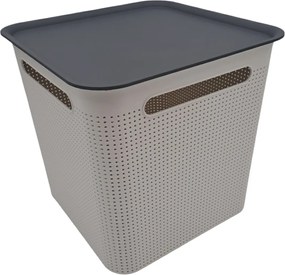 Rotho Úložný box s vekom a s madlami BRISEN 18l, 29x29x29cm, biely