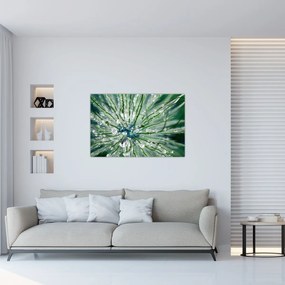 Obraz - Makro snímka kvetu (90x60 cm)