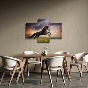 Obraz - Kone (90x60 cm)