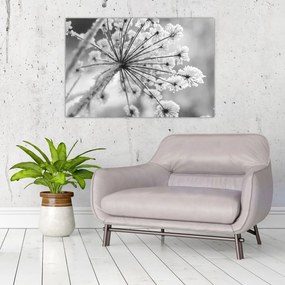 Obraz - Kvetina v zime (90x60 cm)