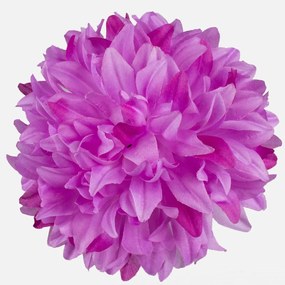 Schetelig Chryzantéma hlava, Lavender - 16 cm