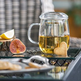 4Home Hrnček na čaj so sitkom Hot&Cool 450 ml