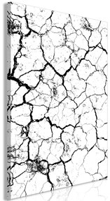 Artgeist Obraz - Cracked Earth (1 Part) Vertical Veľkosť: 40x60, Verzia: Na talianskom plátne