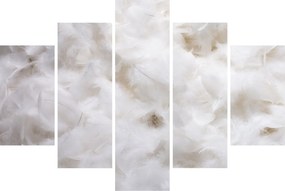 Obraz - Biele perie (150x105 cm)