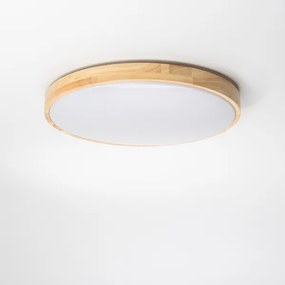 Brilagi - LED stlmiteľné stropné svietidlo PINE LED/24W/230V + diaľkové ovládanie