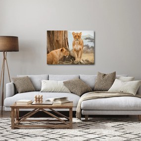 Obraz - dve levice (70x50 cm)