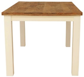 furniture-nabytek.cz - Rustikálny jedálenský stôl z masívu mango 200x90