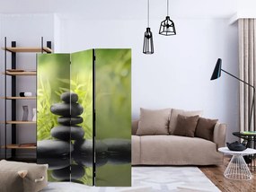 Artgeist Paraván - Serenity of nature [Room Dividers]