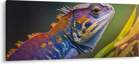 Obraz - Sfarbený leguán (120x50 cm)