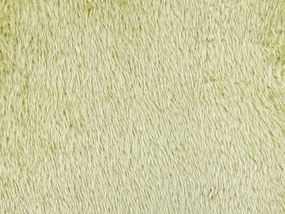 Dekoratívny vankúš 45 x 45 cm zelený PILEA Beliani