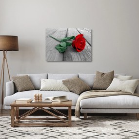 Sklenený obraz - Červená ruža so zelenou stonkou (70x50 cm)