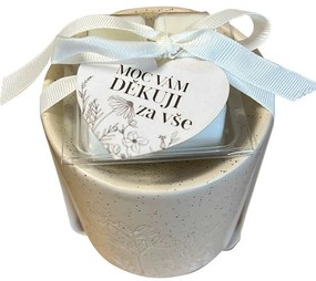 bohemia Gifts Arómalampa s vonnými voskami - Děkuji