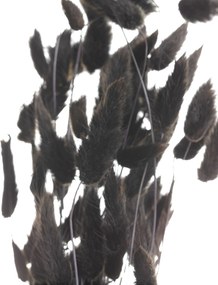 Kytica fúkačiek 60cm dark brown