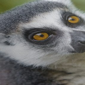Obraz lemura (120x50 cm)