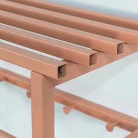 Kovový nástenný vešiak v lososovej farbe s poličkou Rizzoli – Spinder Design