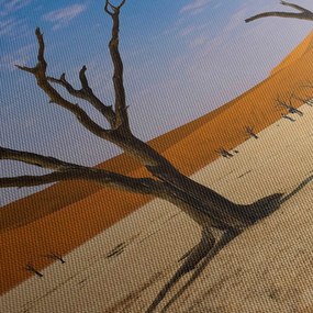 Obraz - Údolie smrti (120x50 cm)