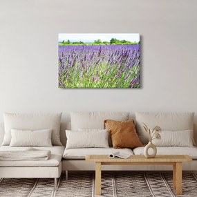 Obraz poľa s levanduľou (90x60 cm)