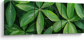 Obraz - Listy s kvapkami rosy (s hodinami) (90x30 cm)