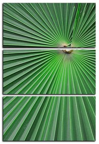 Obraz na plátne - Tropické listy - obdĺžnik 7205B (105x70 cm)