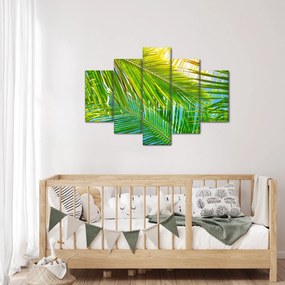 Obraz - Palmové listy (150x105 cm)