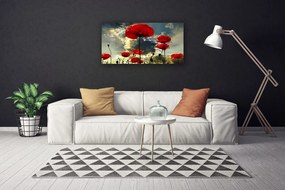 Obraz Canvas Maky kvety príroda 140x70 cm