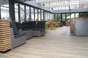 Vinylové podlahy Tajima Classic Ambiente 6206 béžové